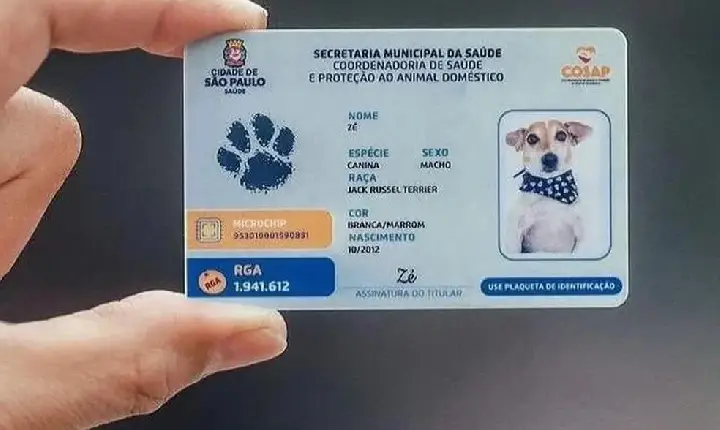 animais domésticos vão ganhar uma carteira de identidade nacional