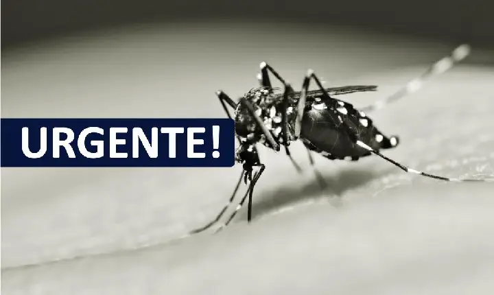 Município confirma 1ª morte por dengue em 2025